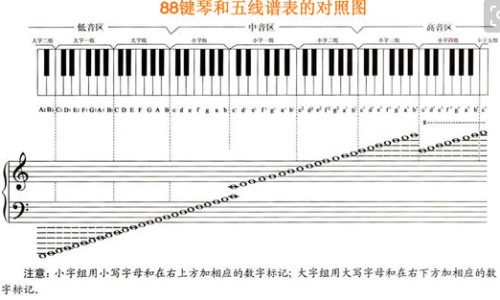 黑黄精功效网—知名的黑黄精功效网站,分享黑黄精怎么吃效果好知识