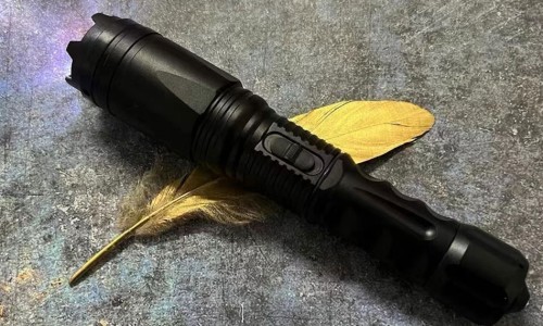黑黄精-黑黄精功效网—知名的黑黄精功效网站,分享黑黄精怎么吃效果好知识